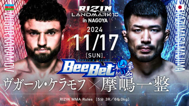 rizin landmark10